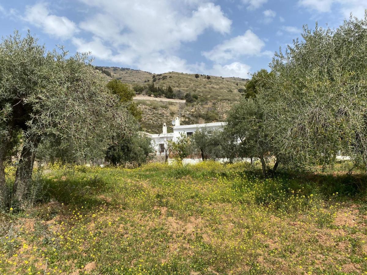 Finca Las Fuentezuelas Carataunas 外观 照片