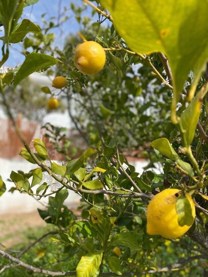 Finca Las Fuentezuelas Carataunas 外观 照片