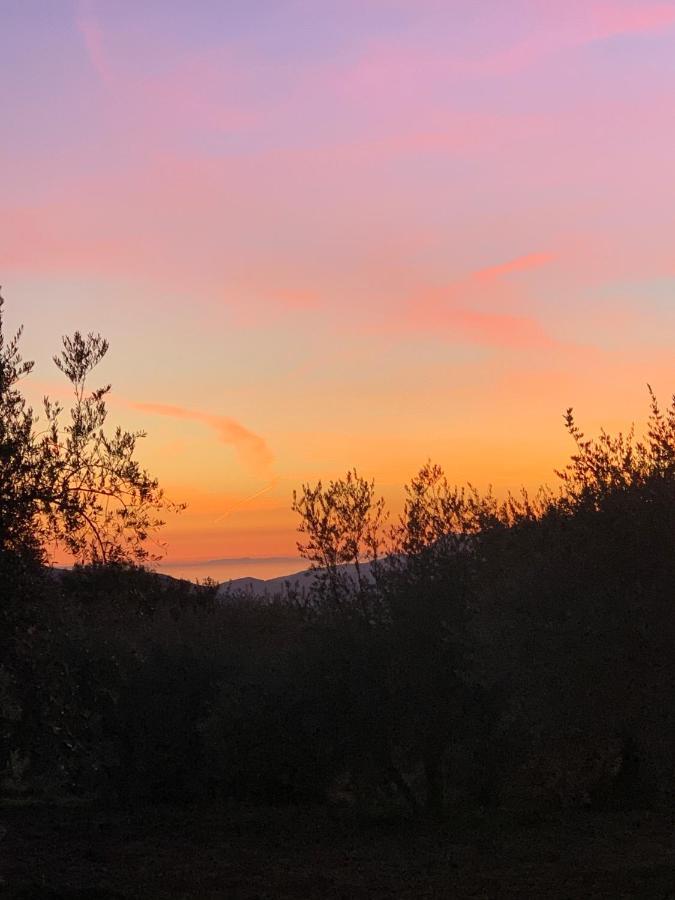 Finca Las Fuentezuelas Carataunas 外观 照片