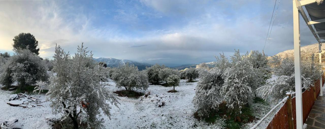 Finca Las Fuentezuelas Carataunas 外观 照片
